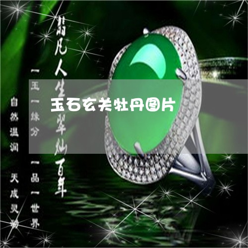 玉石玄关牡丹图片/2023031856259 玉石玄关牡丹图片/2023031856259