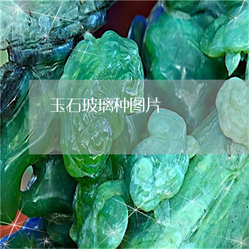 玉石玻璃种图片/2023033003849 玉石玻璃种图片/2023033003849