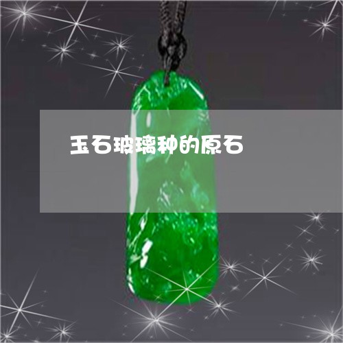 玉石玻璃种的原石/2023031884827 玉石玻璃种的原石/2023031884827