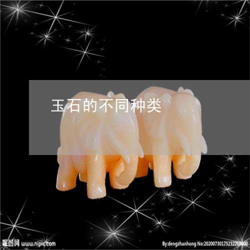 玉石的不同种类/2023033005037 玉石的不同种类/2023033005037