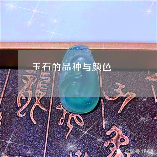 玉石的品种与颜色/2023031832703