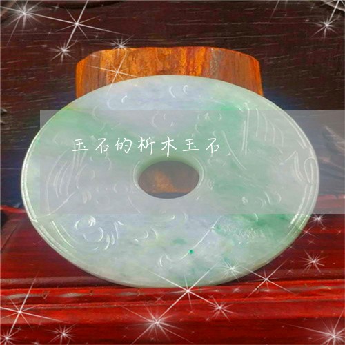 玉石的析木玉石/2023033006836 玉石的析木玉石/2023033006836