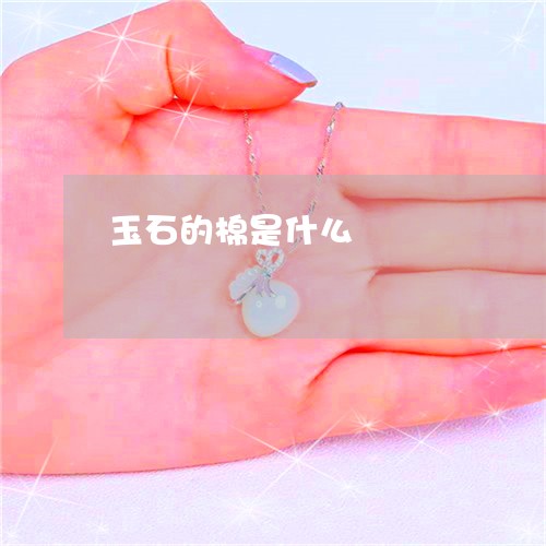 玉石的棉是什么/2023033068482 玉石的棉是什么/2023033068482