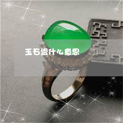玉石盟什么意思/2023033051484 玉石盟什么意思/2023033051484