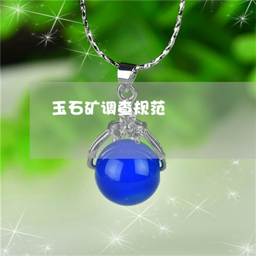玉石矿调查规范/2023033084037 玉石矿调查规范/2023033084037