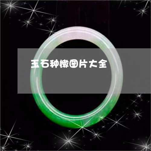玉石种嫩图片大全/2023031848361 玉石种嫩图片大全/2023031848361
