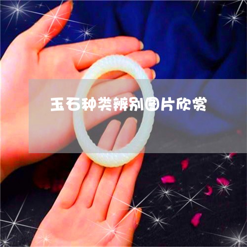 玉石种类辨别图片欣赏/2023061783169