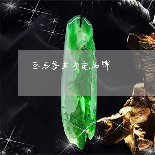 玉石签定手电品牌/2023031705160 玉石签定手电品牌/2023031705160