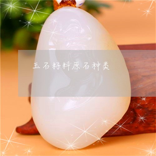 玉石籽料原石种类/2023031810712 玉石籽料原石种类/2023031810712