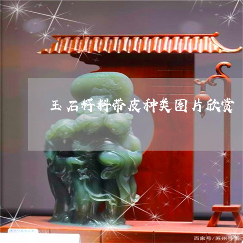 玉石籽料带皮种类图片欣赏/2023061964260 玉石籽料带皮种类图片欣赏/2023061964260