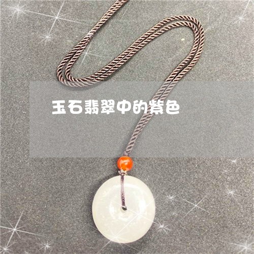 玉石翡翠中的紫色/2023031868472 玉石翡翠中的紫色/2023031868472
