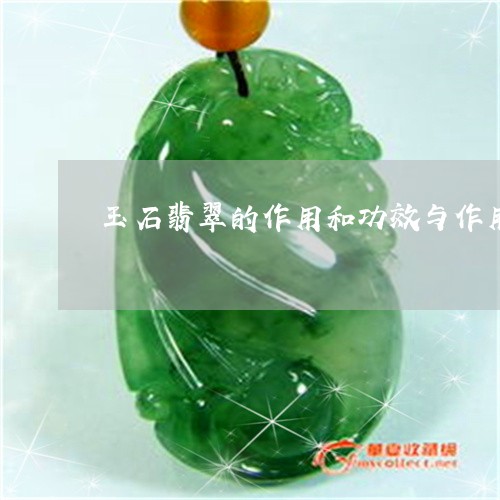 玉石翡翠的作用和功效与作用图片/2023071265835 玉石翡翠的作用和功效与作用图片/2023071265835