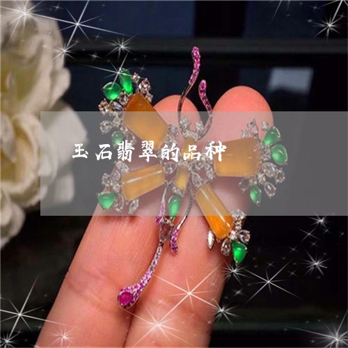 玉石翡翠的品种/2023033018272