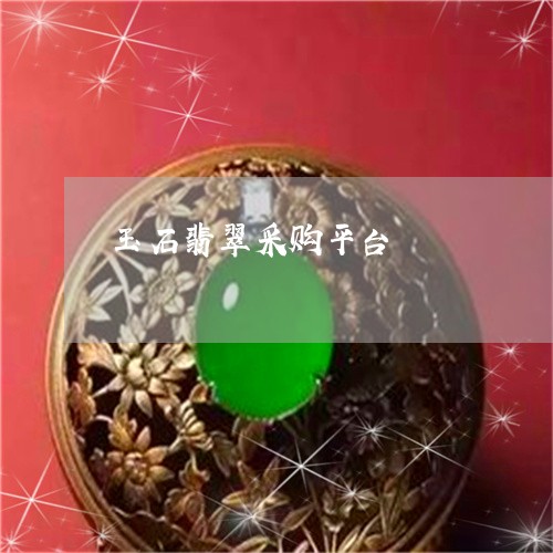 玉石翡翠采购平台/2023031766935 玉石翡翠采购平台/2023031766935