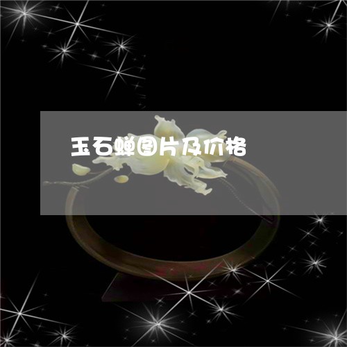 玉石蝉图片及价格/2023031808379