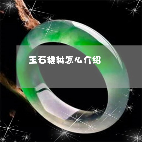 玉石貔貅怎么介绍/2023031857159 玉石貔貅怎么介绍/2023031857159