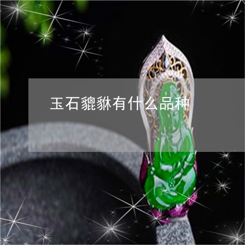 玉石貔貅有什么品种/2023041561936