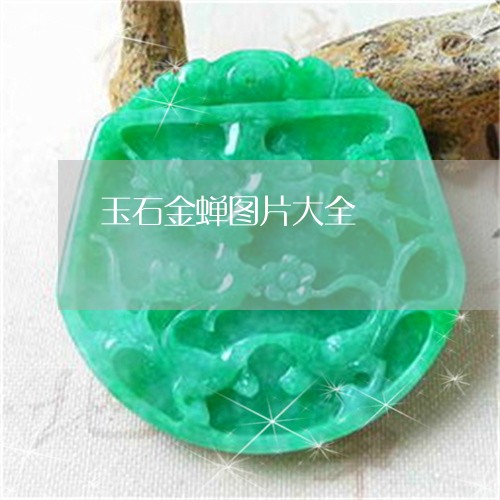 玉石金蝉图片大全/2023031712725 玉石金蝉图片大全/2023031712725