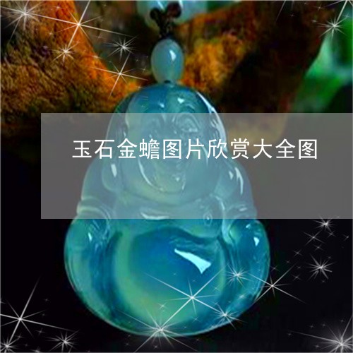 玉石金蟾图片欣赏大全图/2023061828593