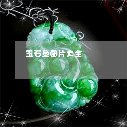 玉石鱼图片大全/2023033169581