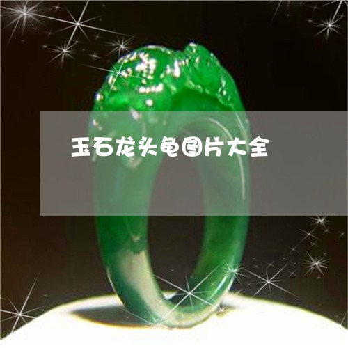 玉石龙头龟图片大全/2023041484616