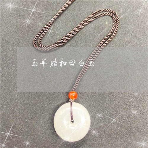 玉羊脂和田白玉/2023033171592