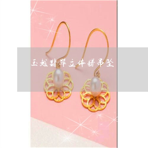 玉越翡翠立体猪吊坠/2023041365726 玉越翡翠立体猪吊坠/2023041365726