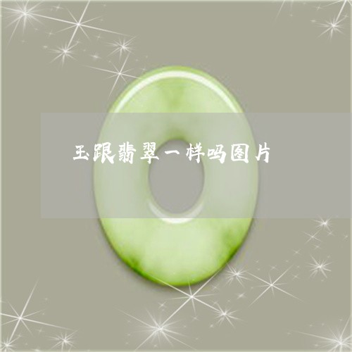 玉跟翡翠一样吗图片/2023041364048