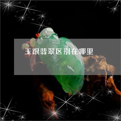 玉跟翡翠区别在哪里/2023041315969