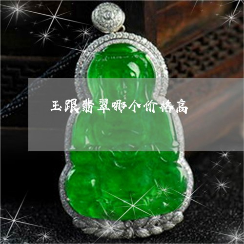 玉跟翡翠哪个价格高/2023041349403