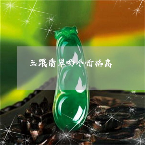 玉跟翡翠哪个价格高/2023041369502
