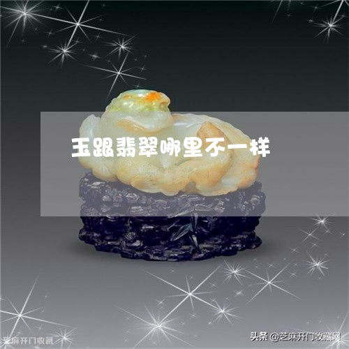 玉跟翡翠哪里不一样/2023041375939 玉跟翡翠哪里不一样/2023041375939