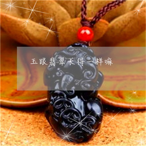 玉跟翡翠长得一样嘛/2023041352836 玉跟翡翠长得一样嘛/2023041352836