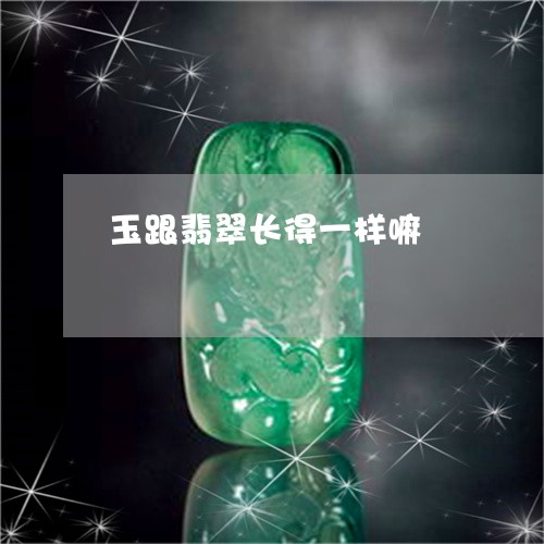 玉跟翡翠长得一样嘛/2023041381613 玉跟翡翠长得一样嘛/2023041381613