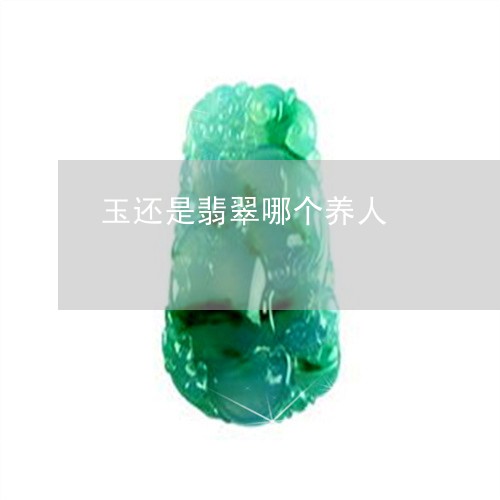 玉还是翡翠哪个养人/2023041320481