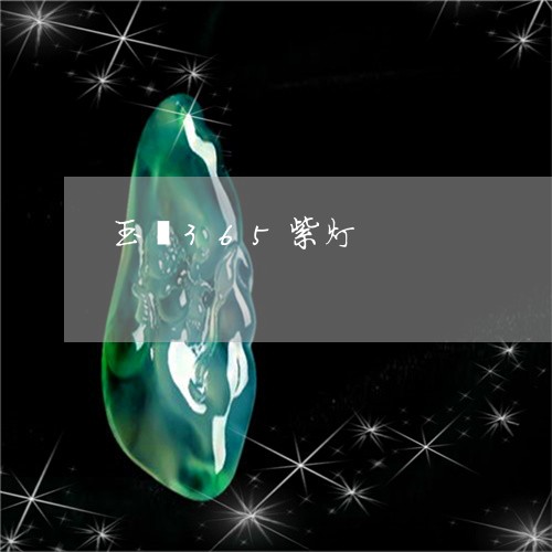 玉镯365紫灯/2023032997168