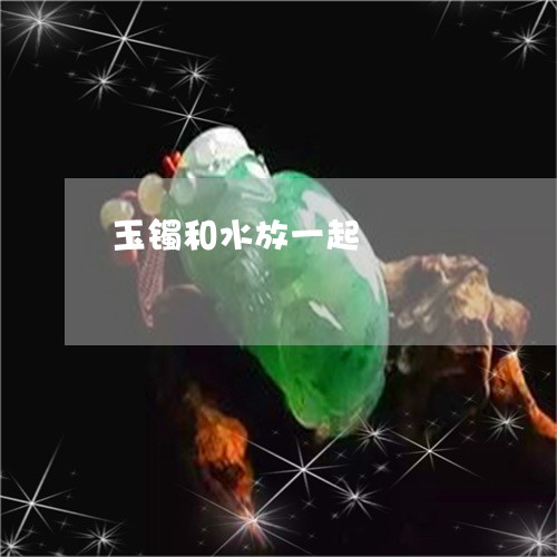 玉镯和水放一起/2023032969362 玉镯和水放一起/2023032969362