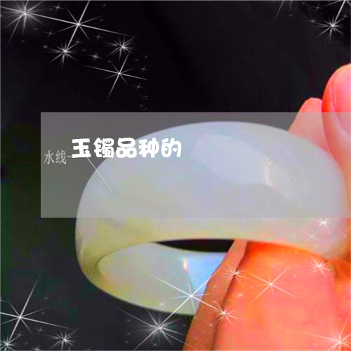 玉镯品种的/2023071425947