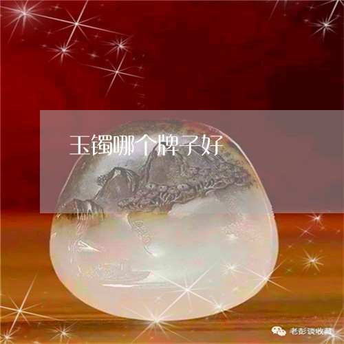 玉镯哪个牌子好/2023032938251 玉镯哪个牌子好/2023032938251