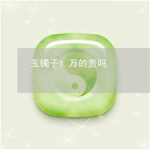 玉镯子1万的贵吗/2023031625947