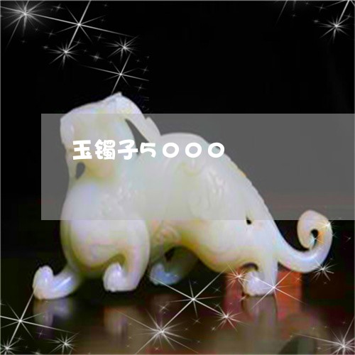 玉镯子5000/2023032938361 玉镯子5000/2023032938361