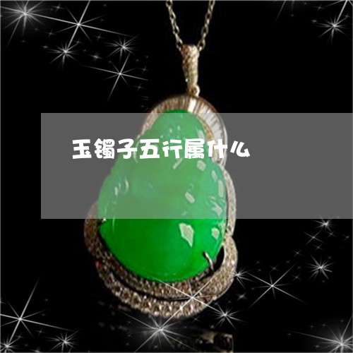 玉镯子五行属什么/2023031602695