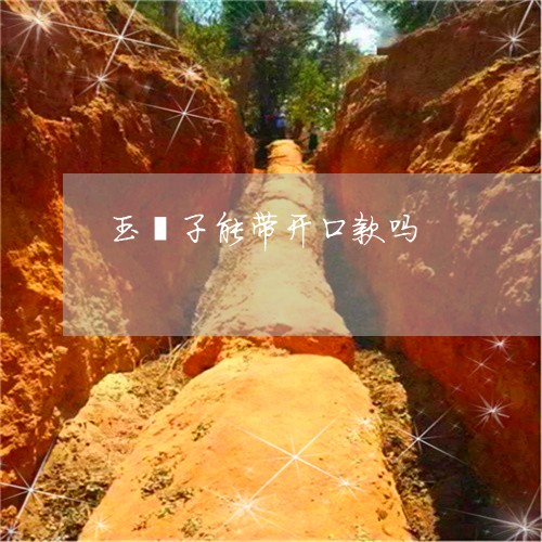 玉镯子能带开口款吗/2023041316948 玉镯子能带开口款吗/2023041316948