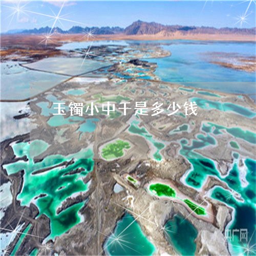 玉镯小中千是多少钱/2023041383948