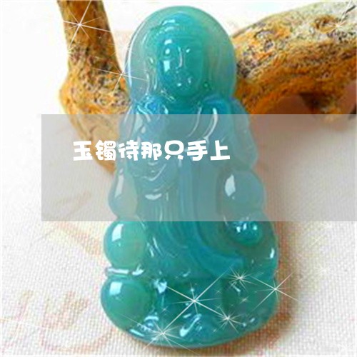 玉镯待那只手上/2023032929481 玉镯待那只手上/2023032929481