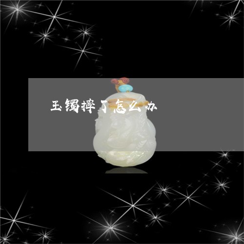 玉镯摔了怎么办/2023033053604