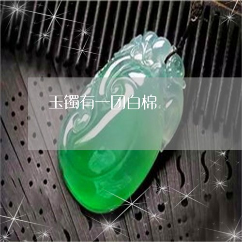 玉镯有一团白棉/2023032958373 玉镯有一团白棉/2023032958373