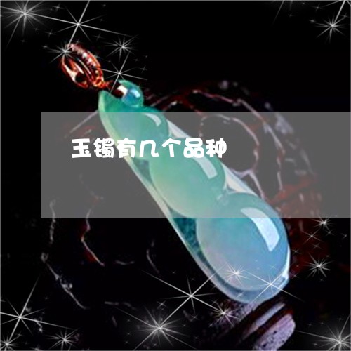 玉镯有几个品种/2023032913734 玉镯有几个品种/2023032913734