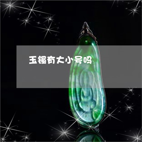 玉镯有大小号吗/2023032962794 玉镯有大小号吗/2023032962794