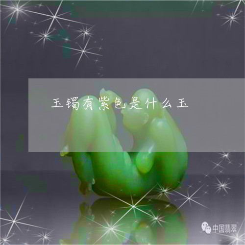 玉镯有紫色是什么玉/2023041374817 玉镯有紫色是什么玉/2023041374817